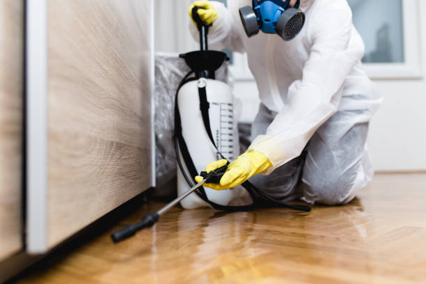 Best Best Pest Control Companies  in Kalona, IA