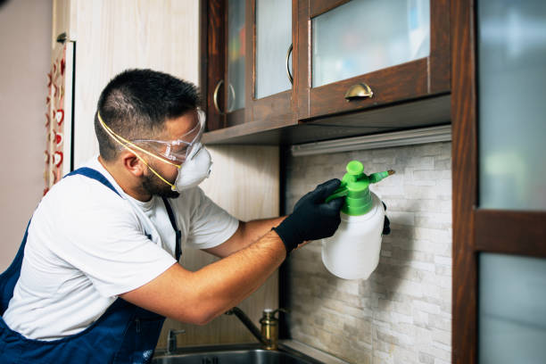 Best Residential Pest Control  in Kalona, IA