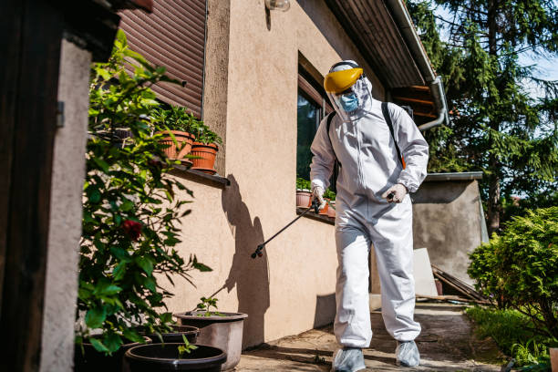 Best Affordable Pest Control Services  in Kalona, IA
