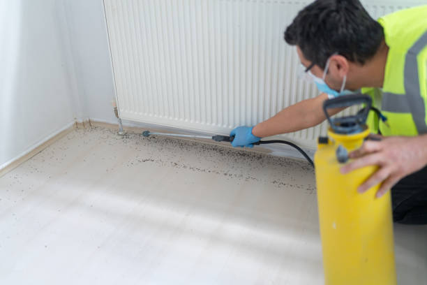 Best Bed Bug Extermination  in Kalona, IA