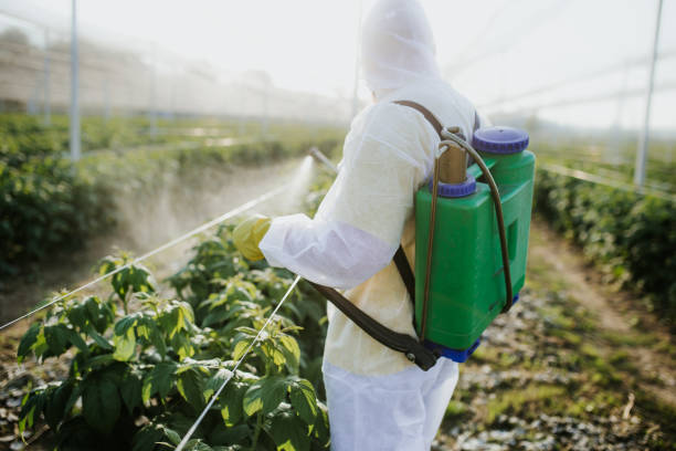 Best Affordable Pest Control Services  in Kalona, IA